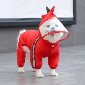 Small Dog Waterproof Raincoat - new-red 11